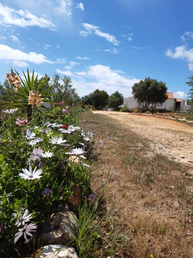 Quinta Da Jolanda-Happy Family Farm Διαμέρισμα Λάγος Εξωτερικό φωτογραφία