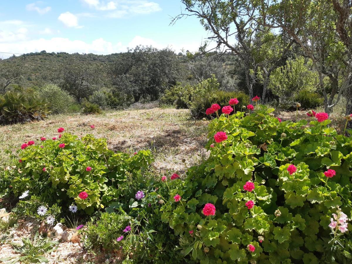 Quinta Da Jolanda-Happy Family Farm Διαμέρισμα Λάγος Εξωτερικό φωτογραφία