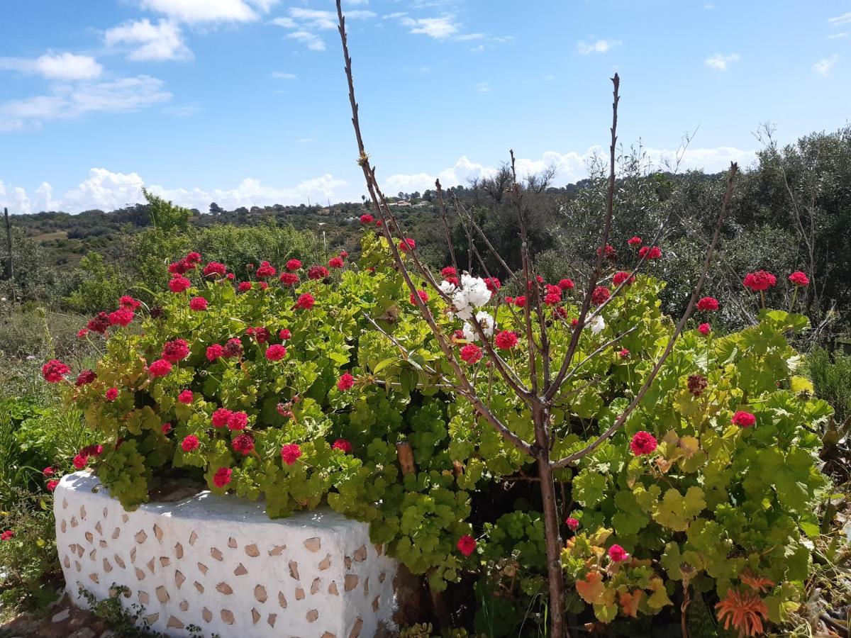 Quinta Da Jolanda-Happy Family Farm Διαμέρισμα Λάγος Εξωτερικό φωτογραφία