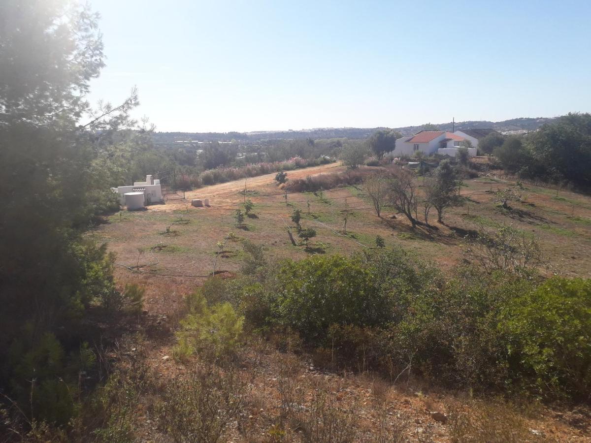 Quinta Da Jolanda-Happy Family Farm Διαμέρισμα Λάγος Εξωτερικό φωτογραφία